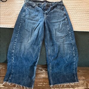 American Eagle Outfitters Dark Blue Flare Jeans